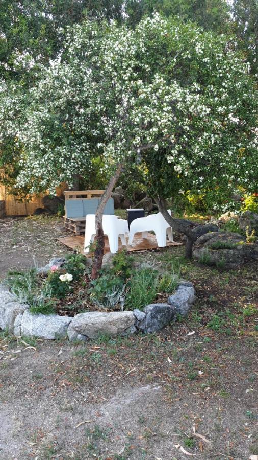 Casa Vacanze Olbia - Alebea - Eksteriør bilde