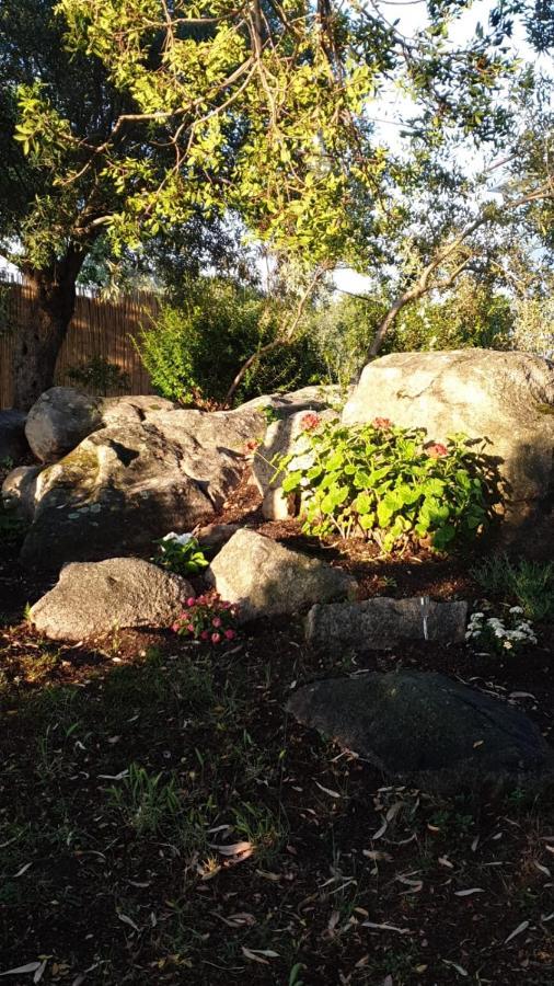 Casa Vacanze Olbia - Alebea - Eksteriør bilde