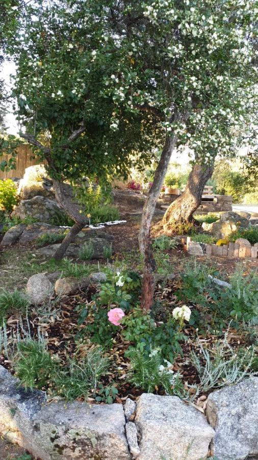 Casa Vacanze Olbia - Alebea - Eksteriør bilde
