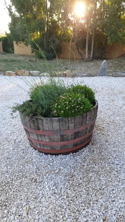 Casa Vacanze Olbia - Alebea - Eksteriør bilde